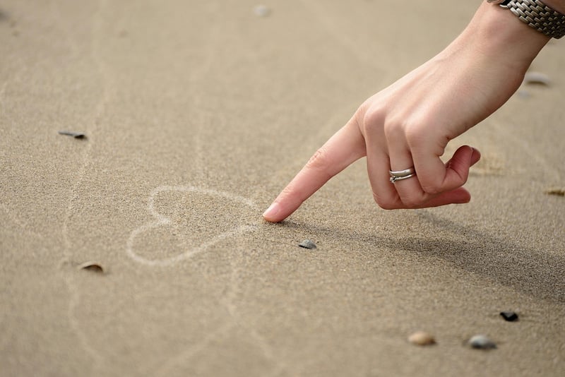 Experience heart-pounding moments