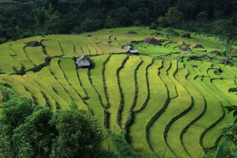 Vietnam Temple